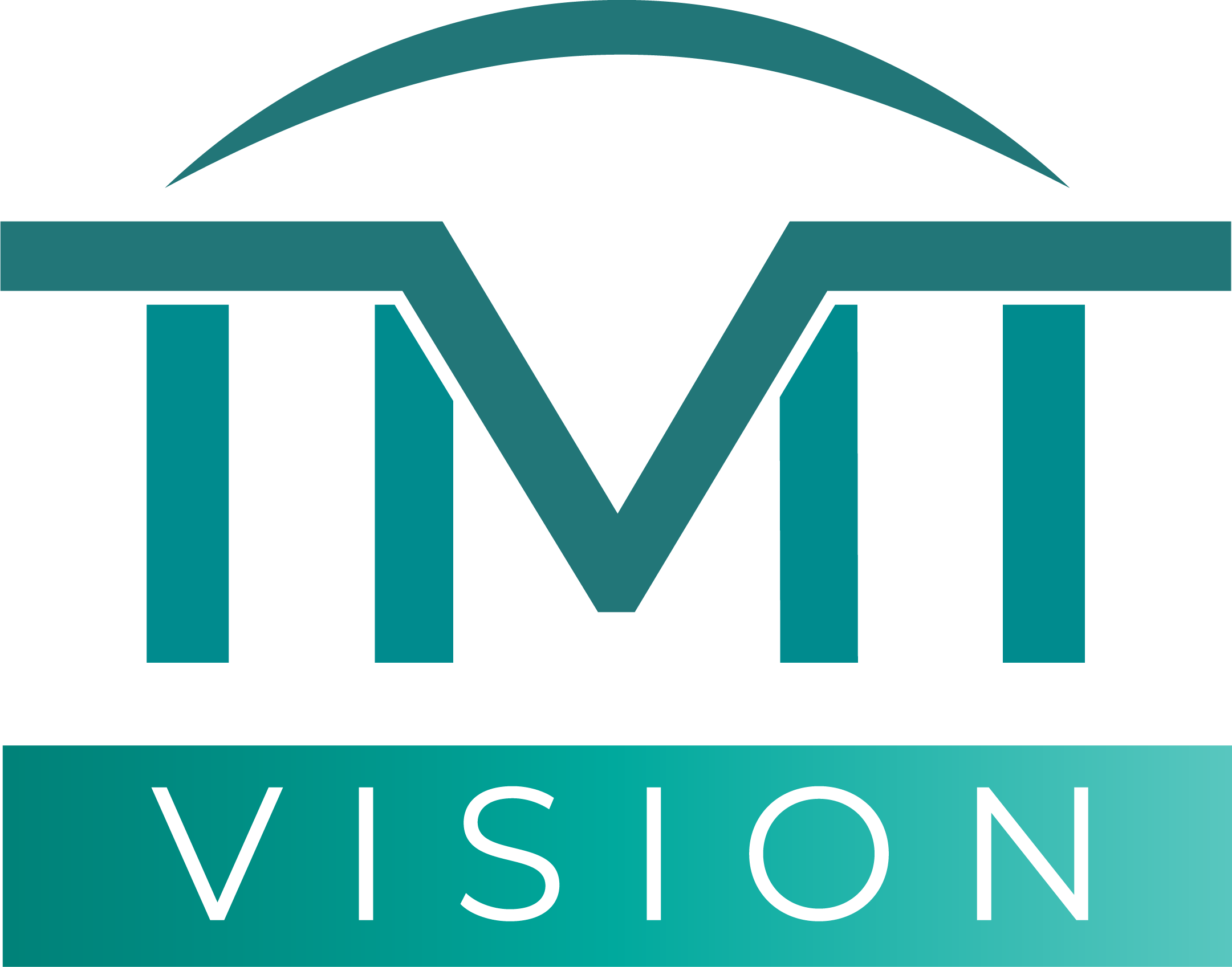 TMT Vision
